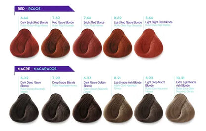 Beauty Expert tinte 90ml - Iseda